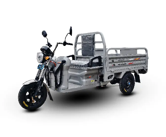 SURRIT Xingyao 1.5×1.0 China E Tricycle for Cargo Transportation