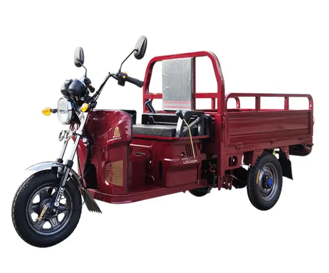 110ZH-AC Tricycle Tuk Tuk for Cargo Transportation